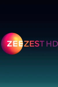 Zee Zest HD