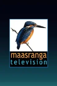 Maasranga TV