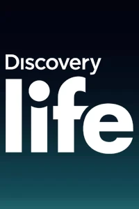 Discovery Life